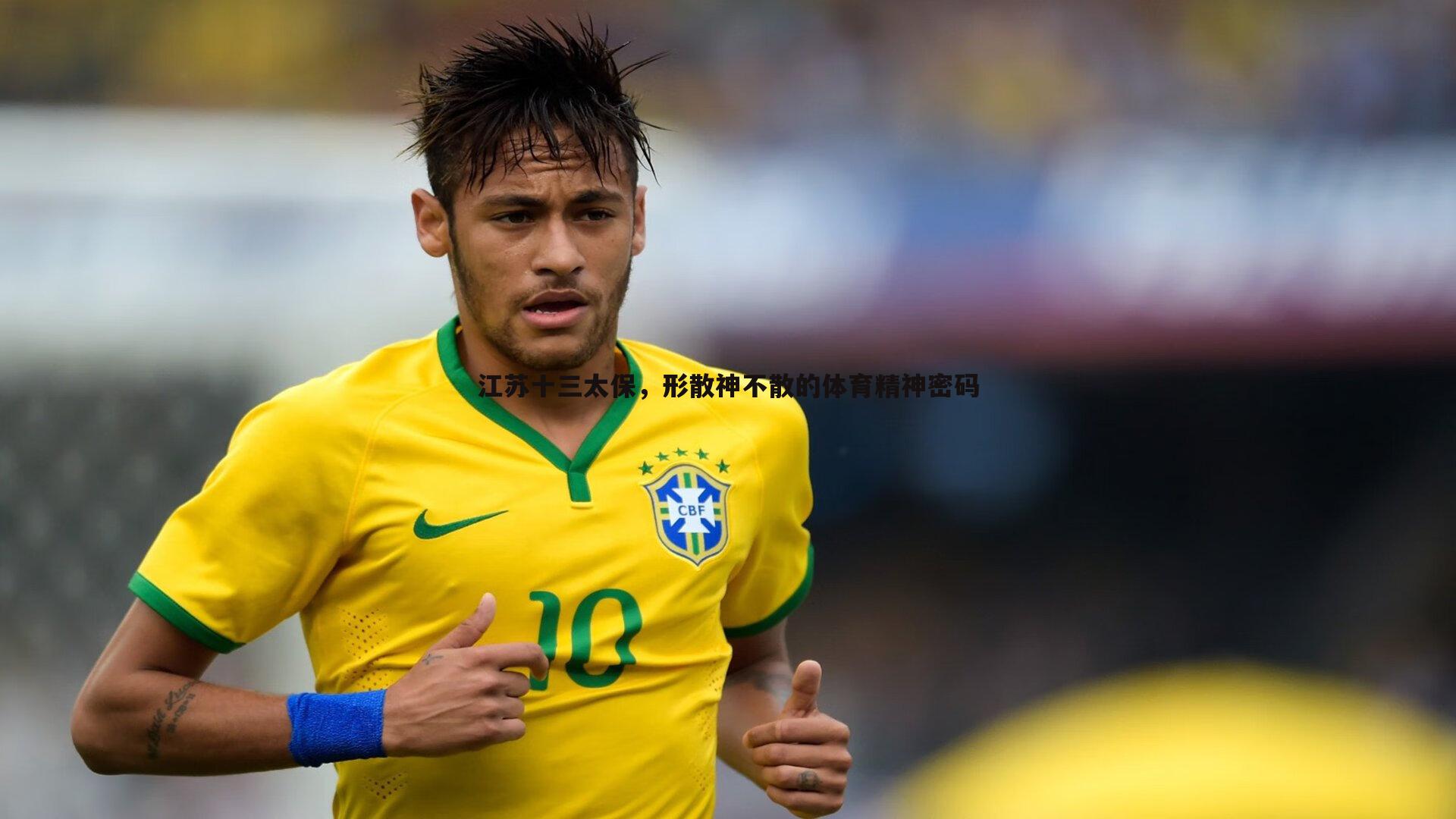 江苏十三太保,形散神不散的体育精神密码